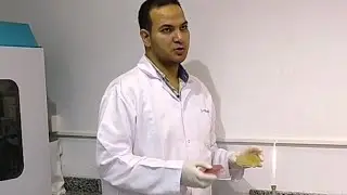 Urine Culture - شرح إجراء مزرعة اليورن داخل معمل ميكروبيولوجي