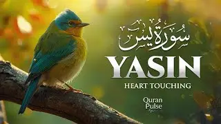 Surah Yaseen (سورة يس) | A Melodic Recitation That Softens Worries & Strengthens Faith#surahyasin