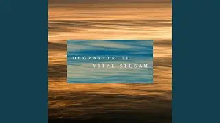 Vital Stream