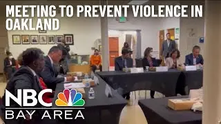 Lawmakers Discuss Solutions to Address Gun Violence in Oakland