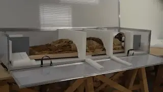 La momie Setja&iuml;mengaou de retour au mus&eacute;e de Picardie apr&egrave;s sa restauration