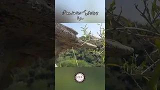Hand  🫴  Shaped Rock || Hath numa Chataan || HD Village Vlog