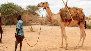 DAAWO BILICDA XUDUR BAKOOL #SOMALIA