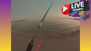 Pesca a eging dalla spiaggia cercando le ultime seppie --- Fishing in eging from the beach