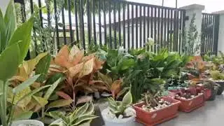 komplek. PGRI Tui Kuranji. Padang