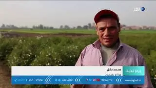 يوم جديد | شبرا بلولة.. قرية مصرية ضمن الأشهر في انتاج الياسمين بالعالم