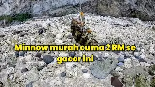 Umpan ini sangat di sukai ikan karang | Ultralight fishing rod and rell | ultralight fishing video