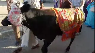 النشاط واللعابات 💜💃💃 أول أيام عرس البادية عند عائلتي😍 الله يتمم ليهم بالخير⁦💜