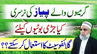 Can we use glyphosate in onion nursery of summer crop || Crop Reformer