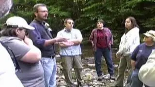 Stream Habitat