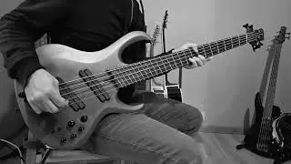 Amorphis The Bee - Bass cover