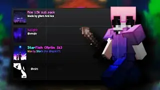 The Most Unique Hive Pack Folder EVER (40+ packs)