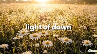🌅 light of dawn &bull; gentle piano & guitar &bull; melodies for peace & focus | refreshing morning