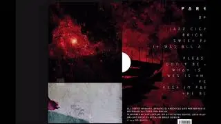 SAUDADE PT. II - available for pre-order on vinyl, release March 29