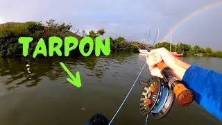 Tarpon Fly Fishing from a SUP Board