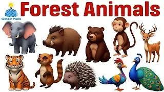 Forest Animals for Kids 🌳 | Learn 10 Forest Animal Names & Fun Facts #forestanimals #animalnames