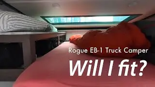 Palomino Rogue EB-1 Sizing