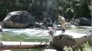 Fly Fishing in Yosemite National Park with Yosemite Fly Fishing Guide
