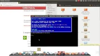 How to run Turbo Pascal on Linux (Mac)