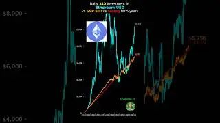 What If You Invested $10/Day in ETH for 5 Years? 📈 #ethereum #crypto