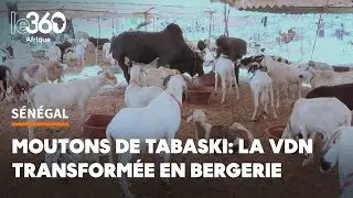 S&eacute;n&eacute;gal. De 250.000 &agrave; 650.000 FCFA le mouton: &agrave; Dakar, l&rsquo;ambiance est d&eacute;j&agrave; &agrave; la Tabaski