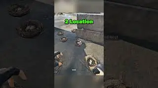 NEW NEST LOCATIONS 🤑 STRANGE & GOLDEN EGGS! #deltaforce