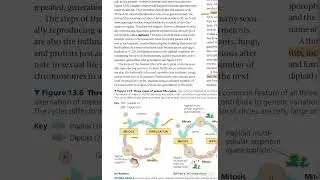 Unit 3,Genetics Part 3 | Behavior of Chromosomes and Variety of Sexual Life Cycles | from Campbell