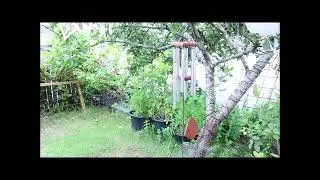 Vindspel Nature`s Melody 28