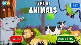 Types of Animals || Wild, Domestic, Pet