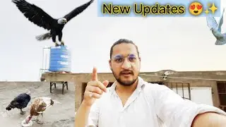 Birds ke Cage Ma Pine Jama | Double kaam Karna Phara Aj | Bhaiya G Test Your Limits 