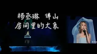 杨丞琳佛山演唱会 20260110