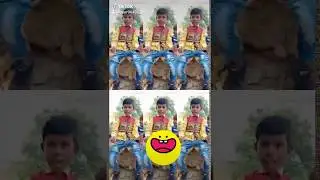 Tiktok New watshpp Satuts Gujarati Balgit Ek biladi jadi tene Peri sadi