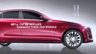 Cadillac Tire and Wheel Protection