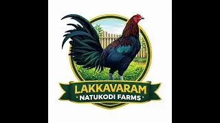 Lakkavaram natu kodi farms