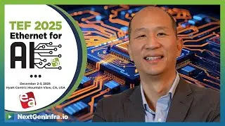 TEF 2025: Faster and Faster Networking Upgrade Cycles
