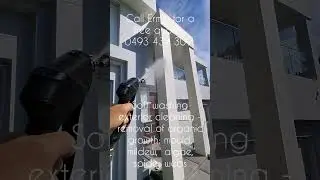 Satisfying House washing organic growth removal