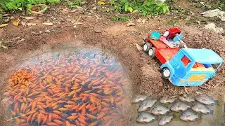 Catching Loads Of Fish Using Diesel Engine Pump Water Pond | Fishing Exciting | DIY Truck