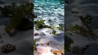 Stillness Beneath the Waves | 8K Hyper-Realistic Ocean Floor