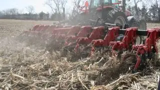 Sunflower Strip-til