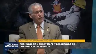 Promulgación de ley MAPE y desarrollo de industria petroquímica