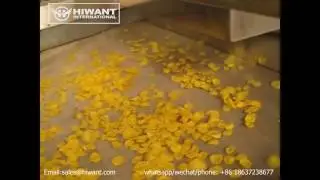 Fully Automatic  Maize Flakes Breakfast Cereal  Processing Machinery    Food Processing Plant