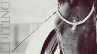 |EQUESTRIAN| Horse passion.