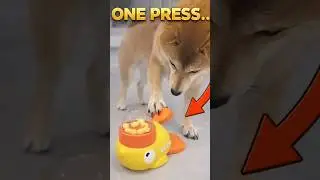 WAIT&mdash;TRY AGAIN?!