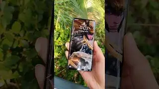 huawei p30 pro camera test 50x zoom|#shorts #shortsfeed #p30pro