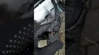 Iveco daily electrical installation problems