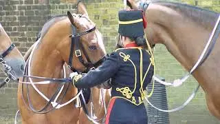 The Colonel's Review for the Trooping the Colour  2019  23
