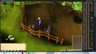 Runescape 2007 mining test, 60 fps!!