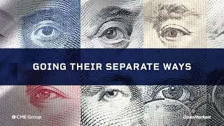 Economist Perspective: Global Interest Rate Divergence