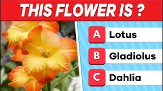 Do you REALLY know about Flowers? 🌸🌼 Flower Trivia Challenge
