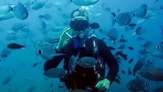 Everyday Miracles (And Scuba Diving in Tunisia)